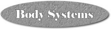 BodySystems Logo