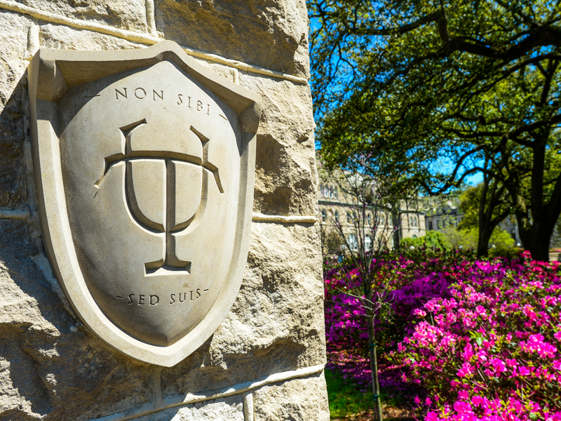 Tulane shield carved in stone Tulane shield carved in stone